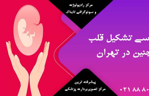 بررسی تشکیل قلب جنین در تهران