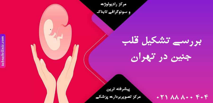 بررسی تشکیل قلب جنین در تهران